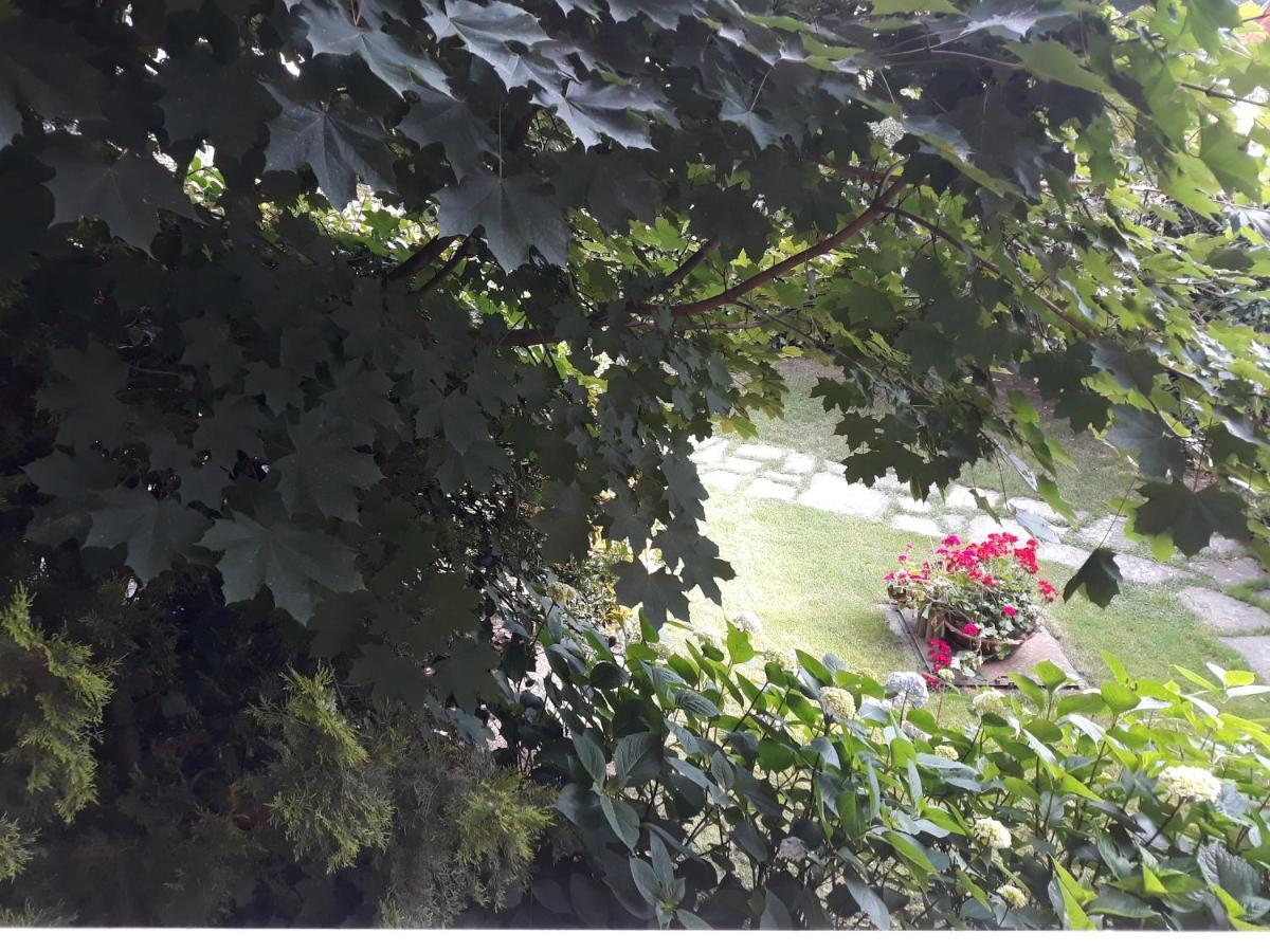 Il Melograno Bed & Breakfast Borgo San Dalmazzo Dış mekan fotoğraf