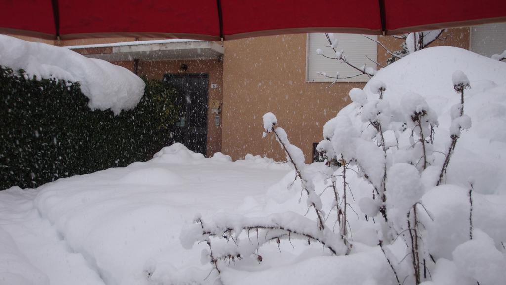 Il Melograno Bed & Breakfast Borgo San Dalmazzo Dış mekan fotoğraf